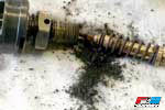 Faryn Suspension