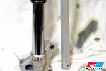 Faryn Suspension